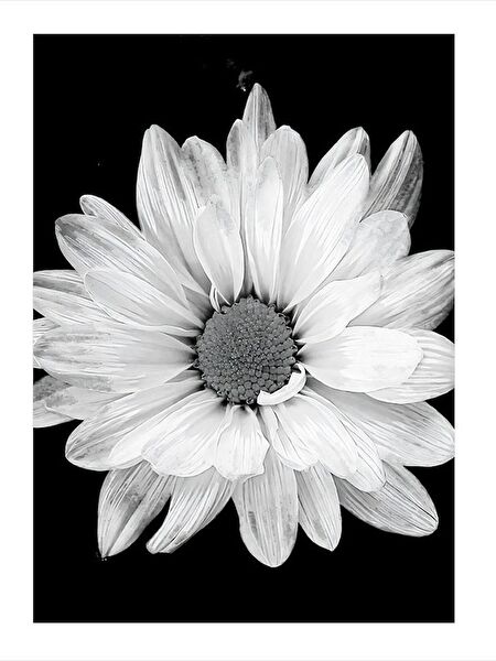 Tablomega Ahşap Tablo