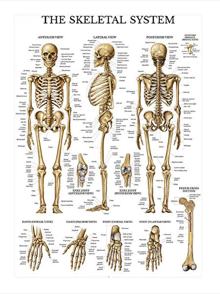 Tablomega Ahşap Tablo