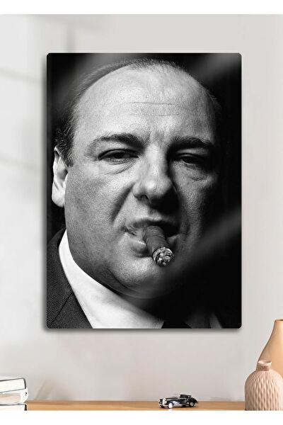 Dekorhane Metal Tablo