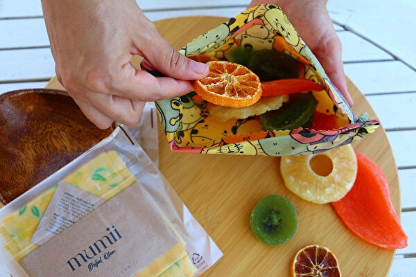 Mumii Saklama Bonesi, Kapağı