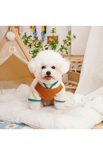 Dolcepets Köpek Elbisesi