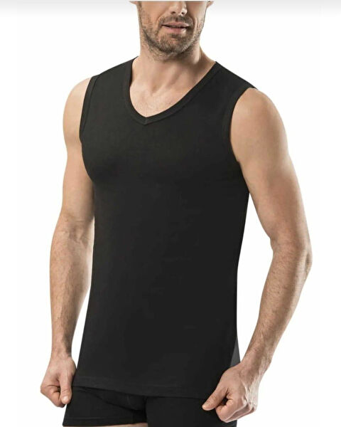 Berrak Erkek Atlet, Fanila