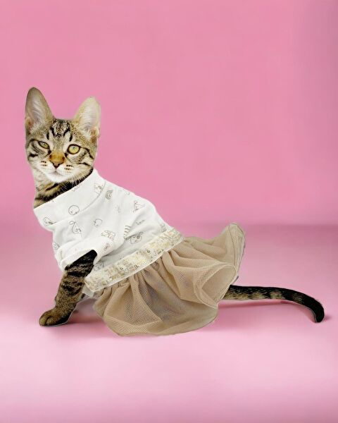Kemique Kedi Elbisesi