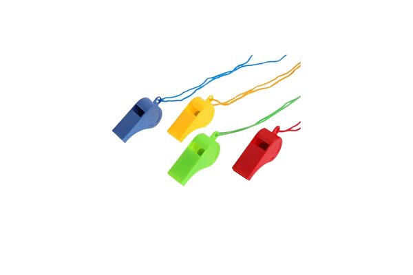 Diğer Pi Sistemler Düdük