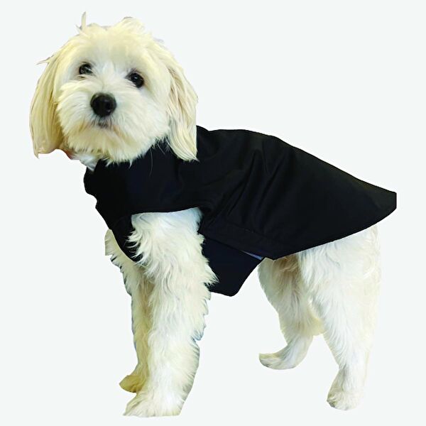 ROOD Köpek Elbisesi