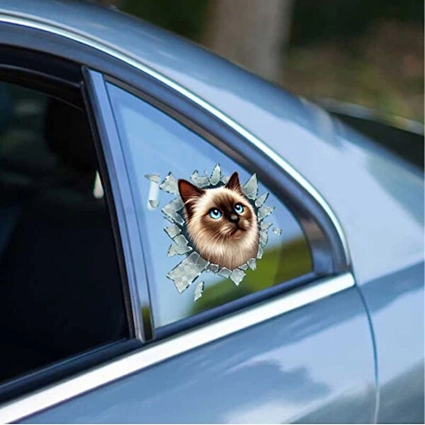 Dodes Dekoratif Sticker