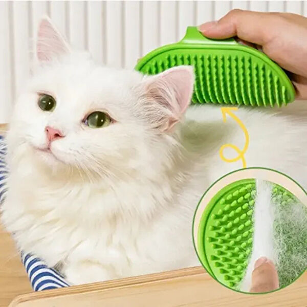 Dodes Kedi Tüyü Bakımı Ürünleri