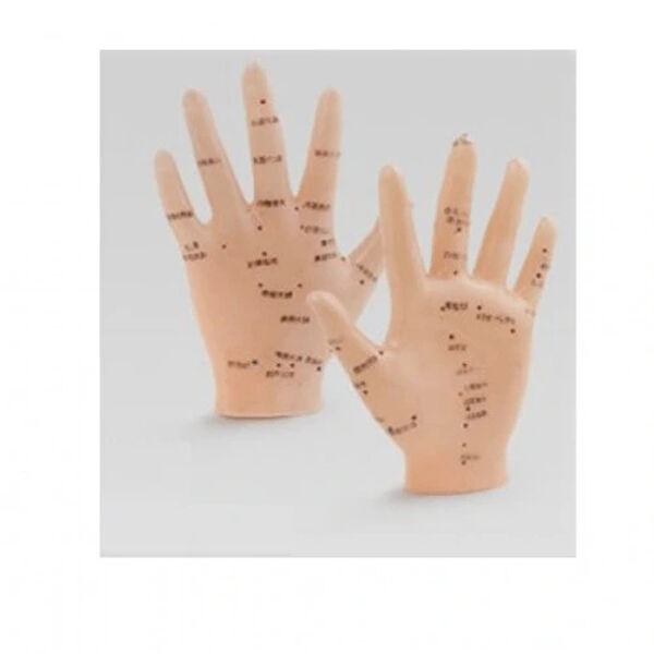 Dodes Eğitim Levhaları