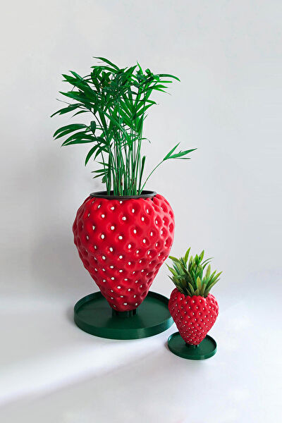 Alvina Atölye Vazo, Saksı