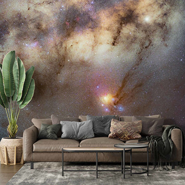 duvarkagidibaski Duvar Kağıdı