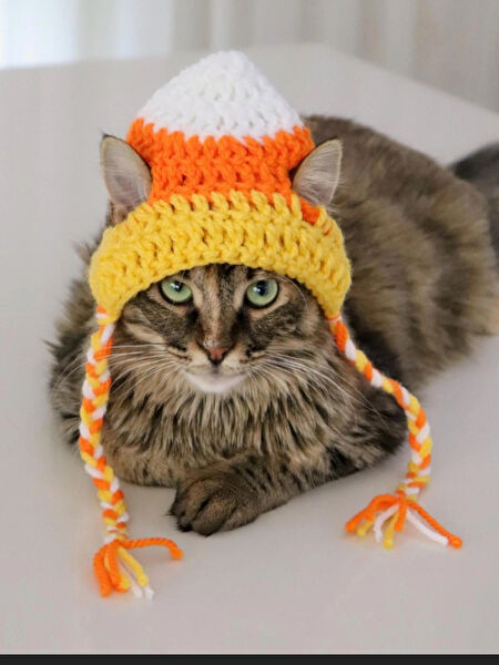 Dukakidstoys Kedi Elbisesi