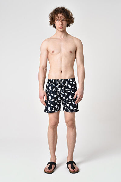 Alexander Gardi Erkek Deniz Şortu, Mayo