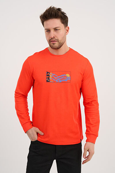 Alexander Gardi Erkek Sweatshirt