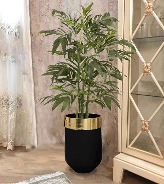 evdeniste Vazo, Saksı