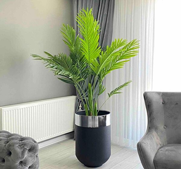 evdeniste Vazo, Saksı