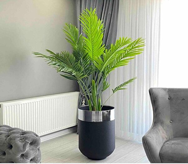 evdeniste Vazo, Saksı