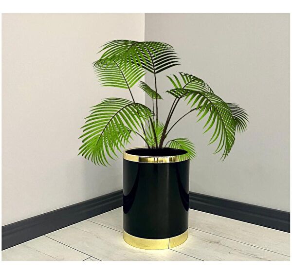 evdeniste Vazo, Saksı