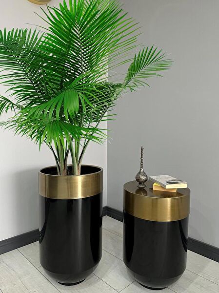 evdeniste Vazo, Saksı