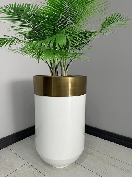 evdeniste Vazo, Saksı