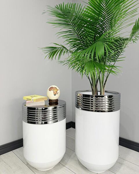 evdeniste Vazo, Saksı