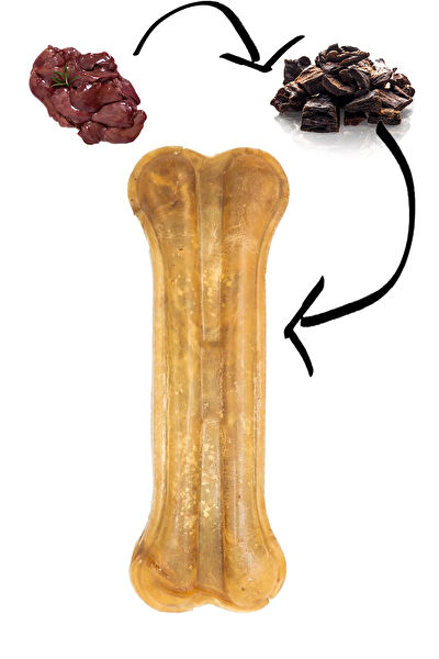 Eva & Wall-e Köpek Kemikleri