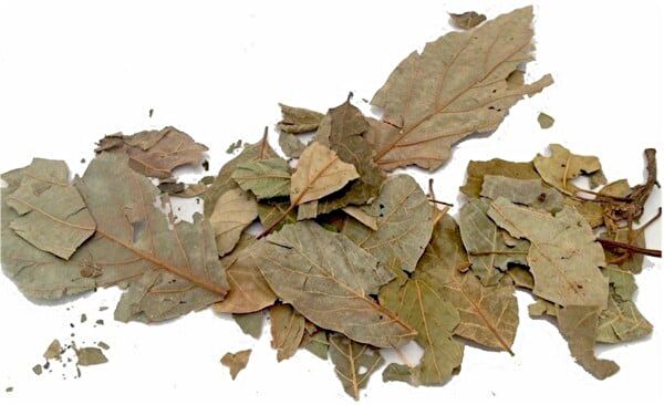 Eaktariye Aktar Ürünleri