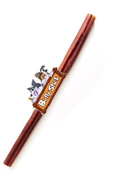 Eva & Wall-e Köpek Kemikleri