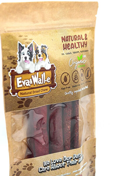 Eva & Wall-e Köpek Kemikleri