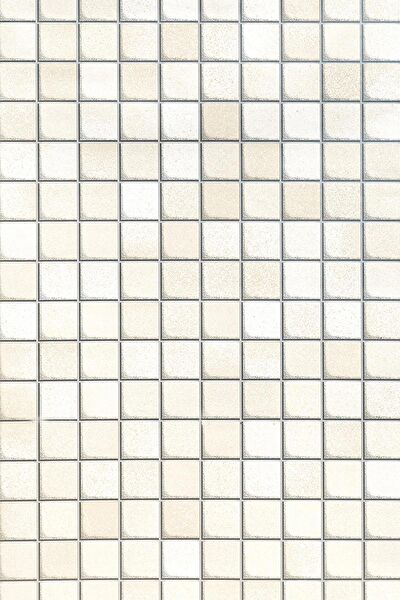 Ecce Carbon Folyolar