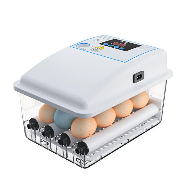 Efe Kuluçka Makineleri Kümes Hayvancılığı