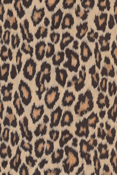 E-Life Carbon Folyolar