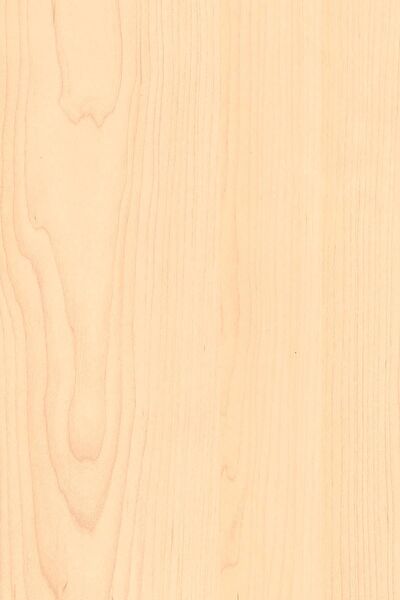 E-Life Carbon Folyolar