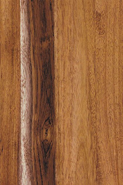 E-Life Carbon Folyolar