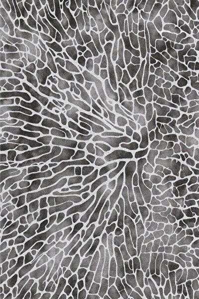 E-Life Carbon Folyolar