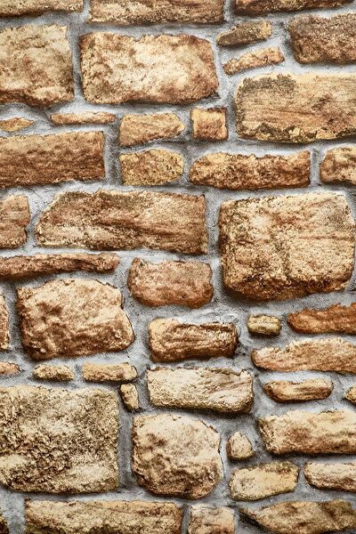 E-Life Carbon Folyolar