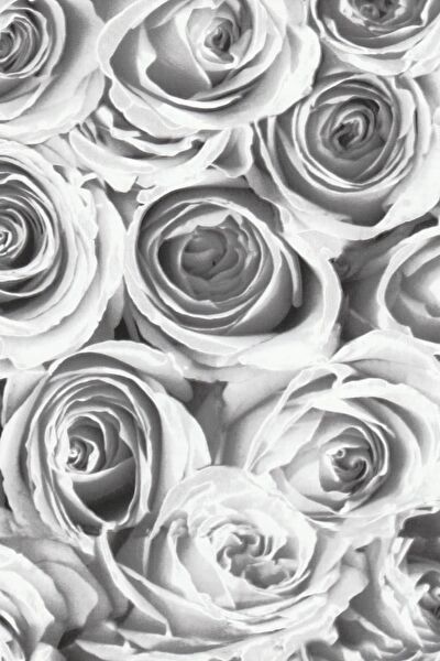 E-Life Carbon Folyolar