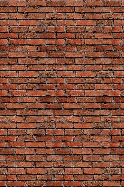 E-Life Carbon Folyolar