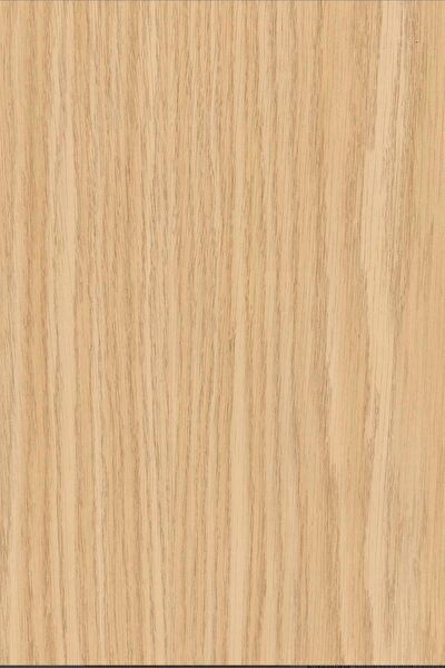 E-Life Carbon Folyolar