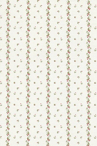 E-Life Carbon Folyolar