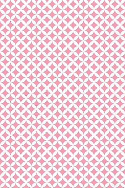 E-Life Carbon Folyolar