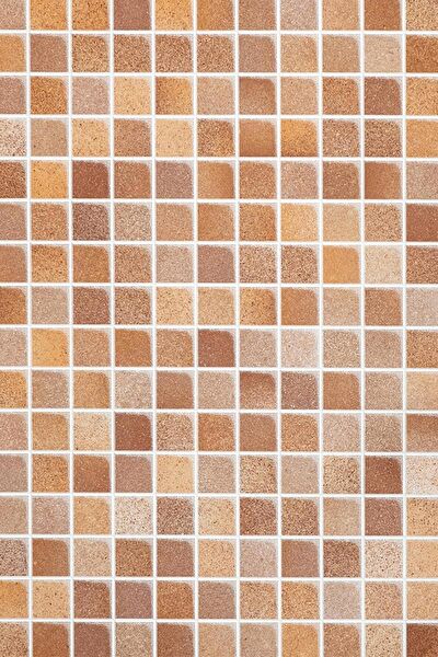 E-Life Carbon Folyolar