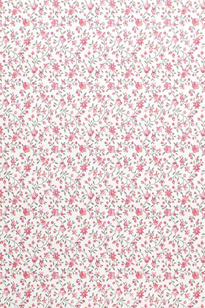 E-Life Carbon Folyolar