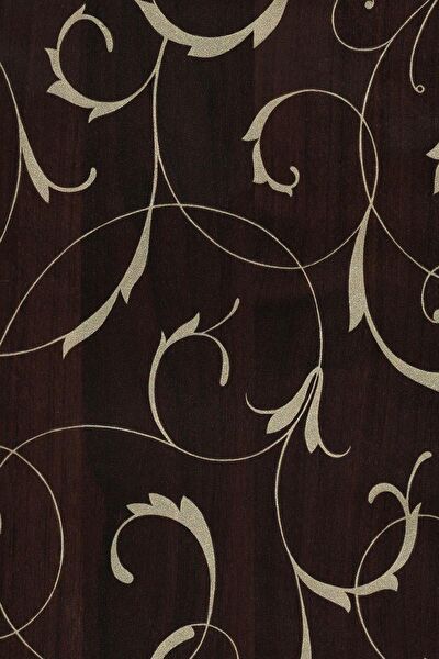 E-Life Carbon Folyolar