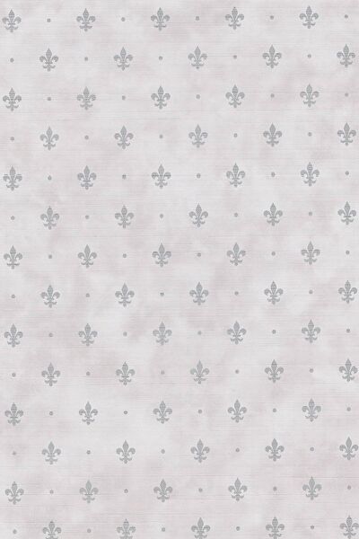 E-Life Carbon Folyolar