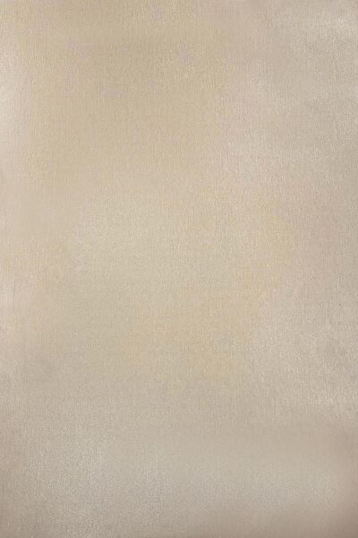 E-Life Carbon Folyolar