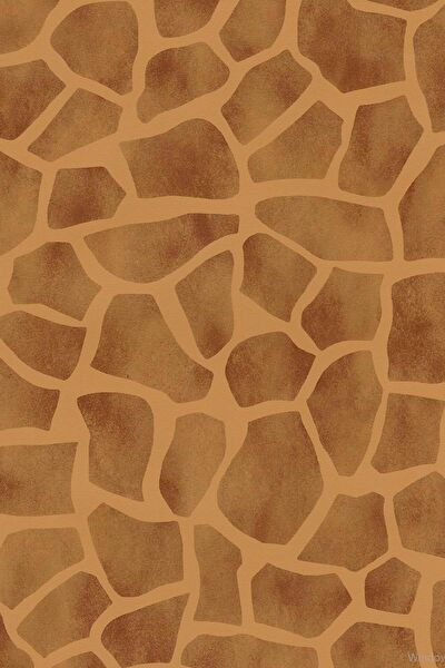 E-Life Carbon Folyolar