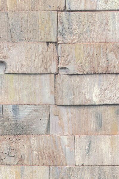 E-Life Carbon Folyolar