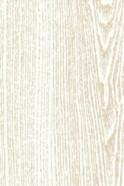 E-Life Carbon Folyolar