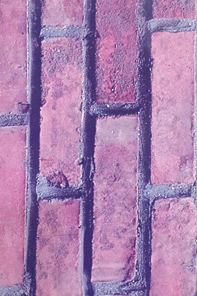 E-Life Carbon Folyolar