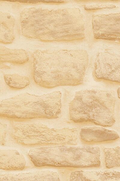 E-Life Carbon Folyolar